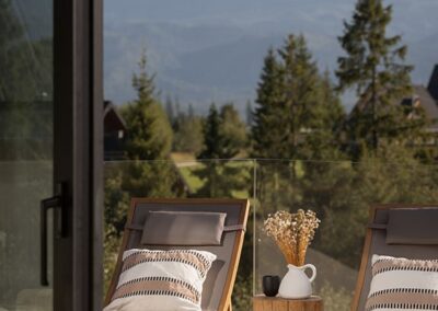 widok z salonu na taras z lerzakami i górami w tle